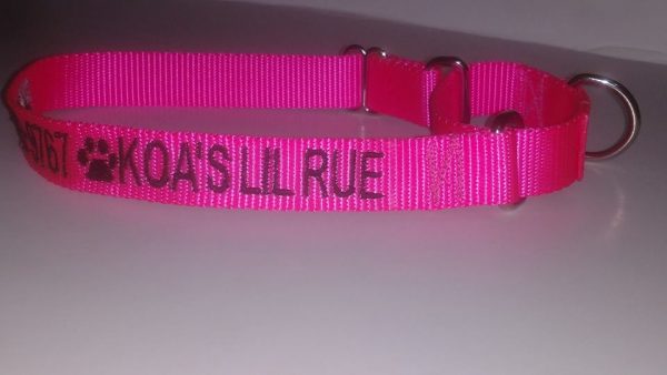 Dog Collars: Martingale-Style with Adjustable Webbing - Image 6