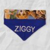 Over-the-Collar Pet Bandanas - Image 6