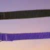 Safety Backup Collar - Image 3