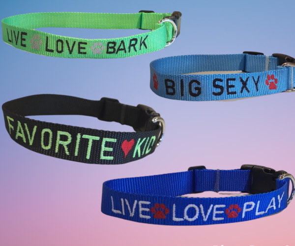 Dog Collars with Sayings - Image 3