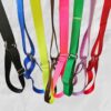 All in One Leash/Martingale Collar - Image 3